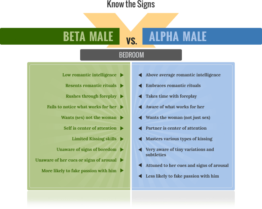 Beta_Male_vs_Alpha_Male_Bedroom-1024x819.png