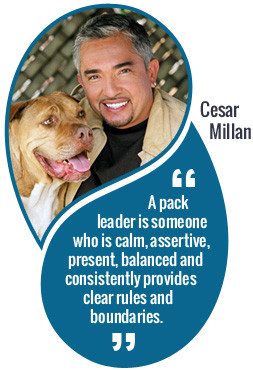 Cesar-millan-quote-compressor.jpg