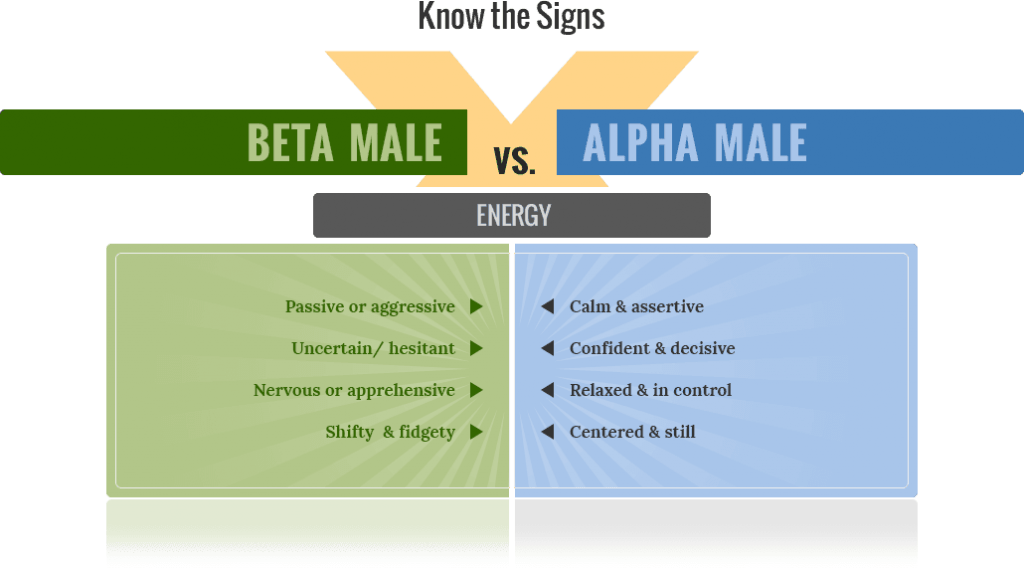 alpha-male-vs-beta-male-social-energy-1024x571.png