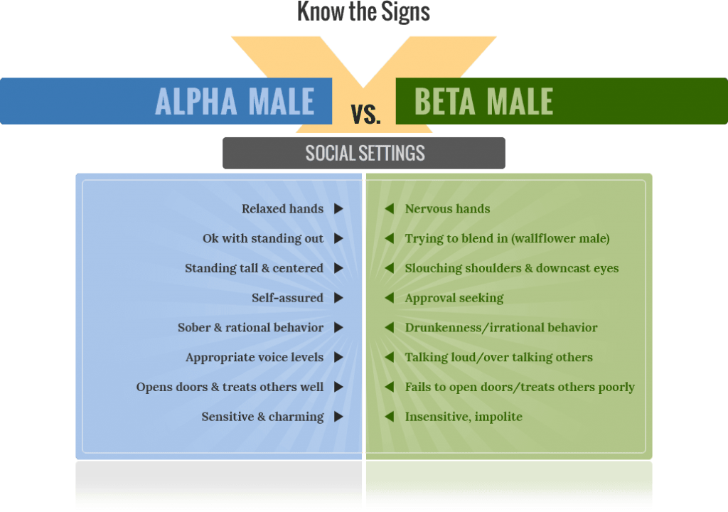 alpha-male-vs-beta-male-social-settings-1024x720.png