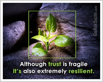 trust-is-fragile-compressor.jpg
